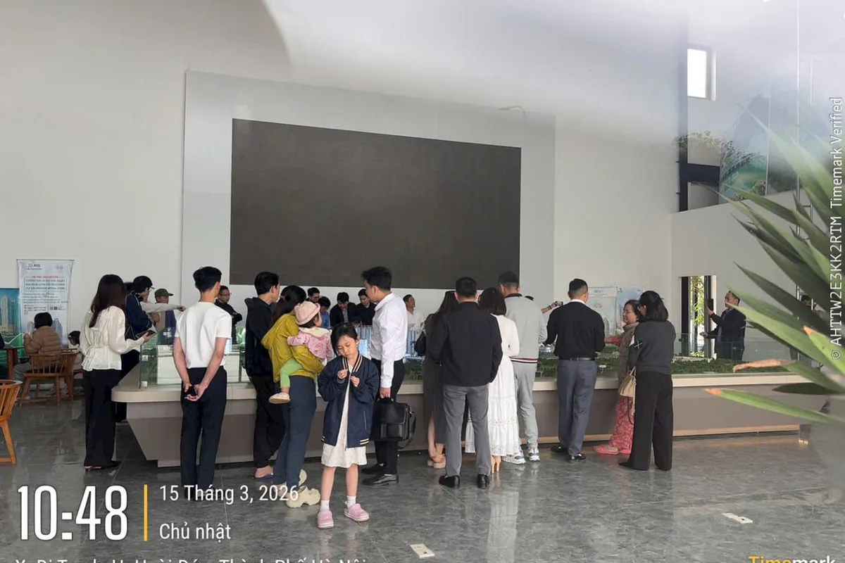 Showroom tư vấn Flame Vine Hinode Royal Park